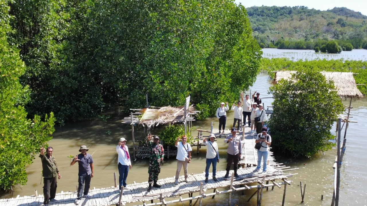 Gerakan Rehabilitasi Mangrove di Manggarai Barat Berlanjut, 40 Ribu Bibit Ditanam