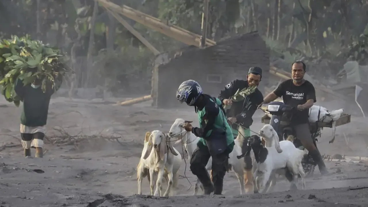 Gunung Semeru Erupsi, Abunya Membumbung hingga 500 Meter