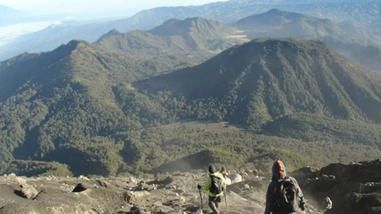 Gunung Semeru Meletus, 550 Warga Ramai-ramai Mengungsi