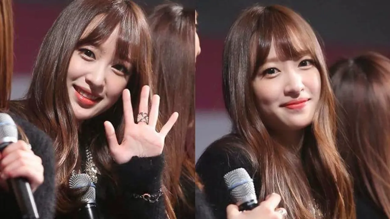 Hani EXID, Idola dan Obsesi Baru Pria Korea
