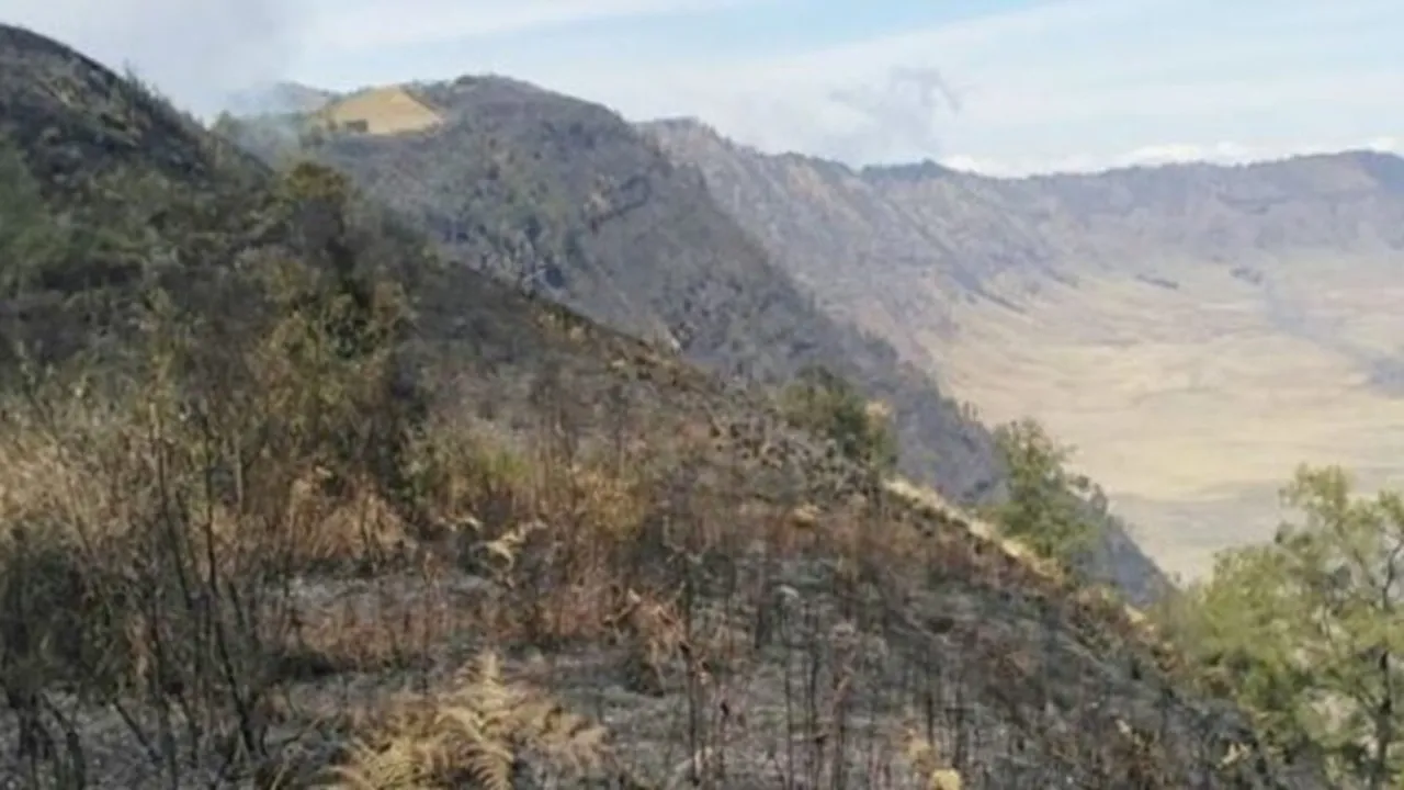 Hutan Gunung Semeru Terbakar 20 Ha, Dua Titik Api Masih Ditemukan