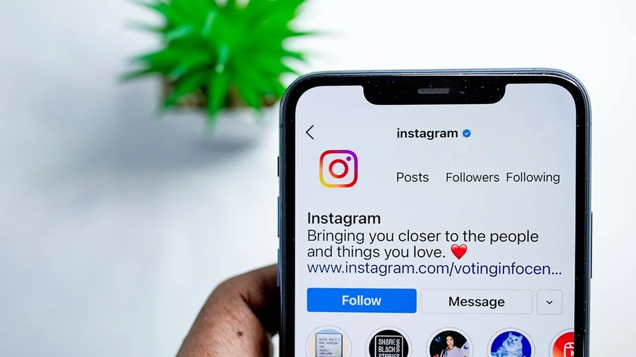 Instagram Luncurkan Fitur Reset Algoritma, Bagaimana Cara Menerapkannya?