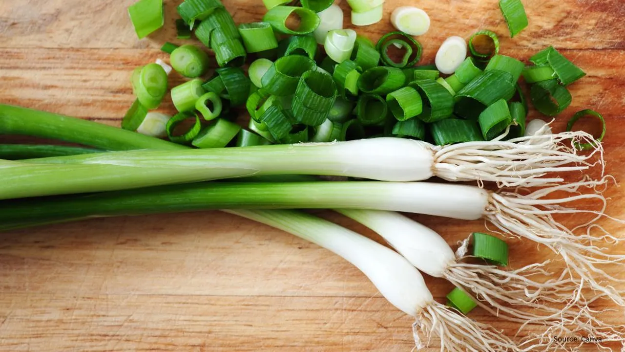 Iris Daun Bawang Tanpa Lendir Hanya Menggunakan Satu Bahan