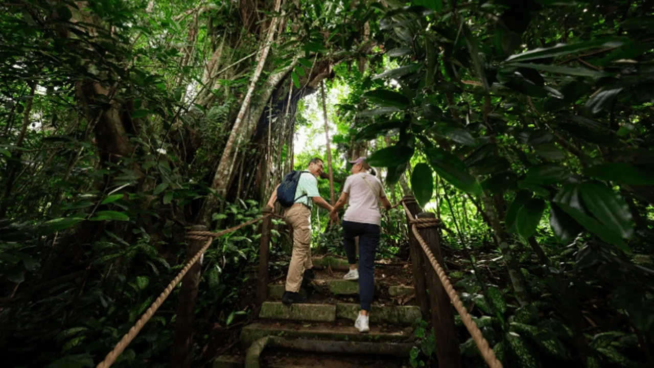 Jelajahi Rainforest Wild Asia, Petualangan Baru Mandai Wildlife Reserve dengan CAVERN Restaurant Bernuansa Gua!
