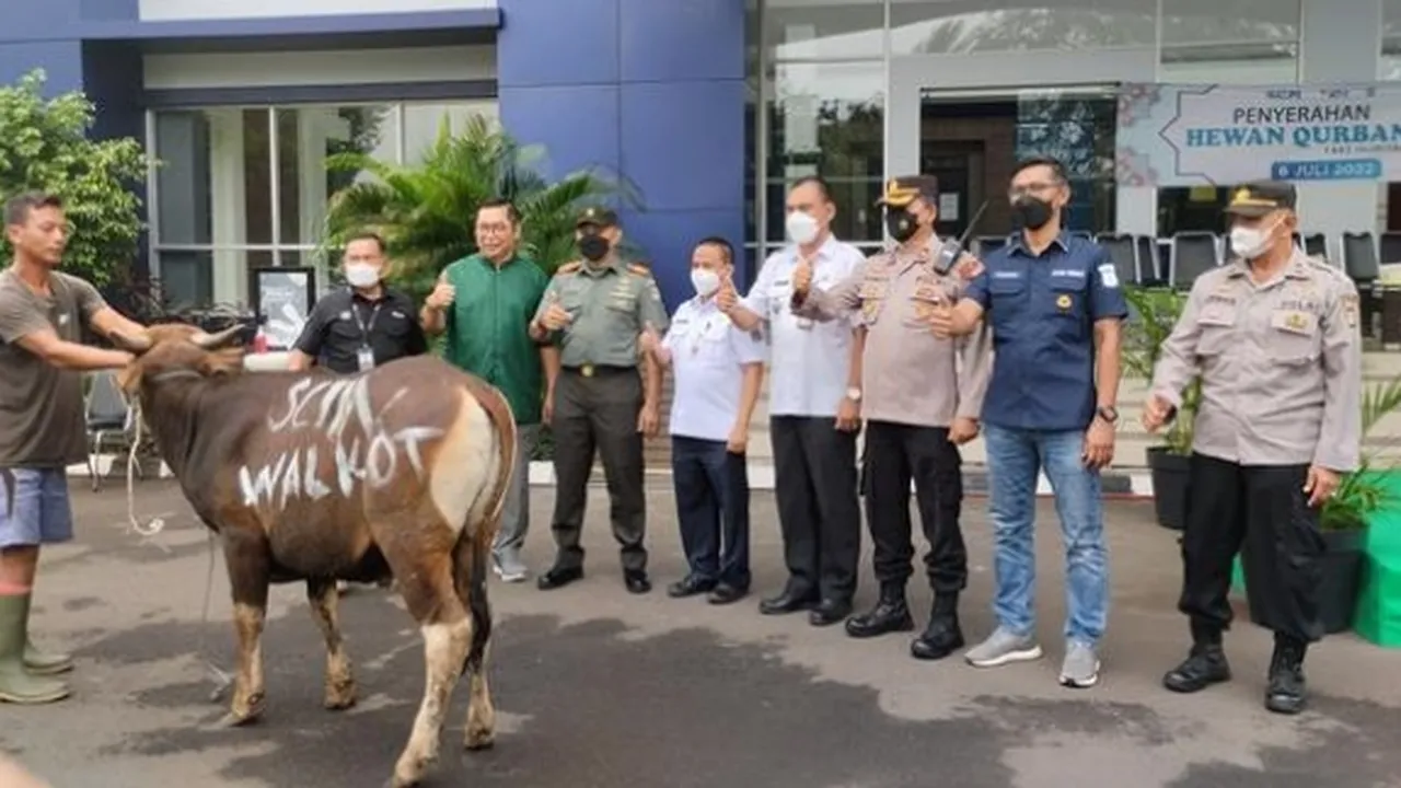 Jelang Idul Adha, SCTV dan Indosiar Serahkan 65 Hewan Kurban untuk Masyarakat