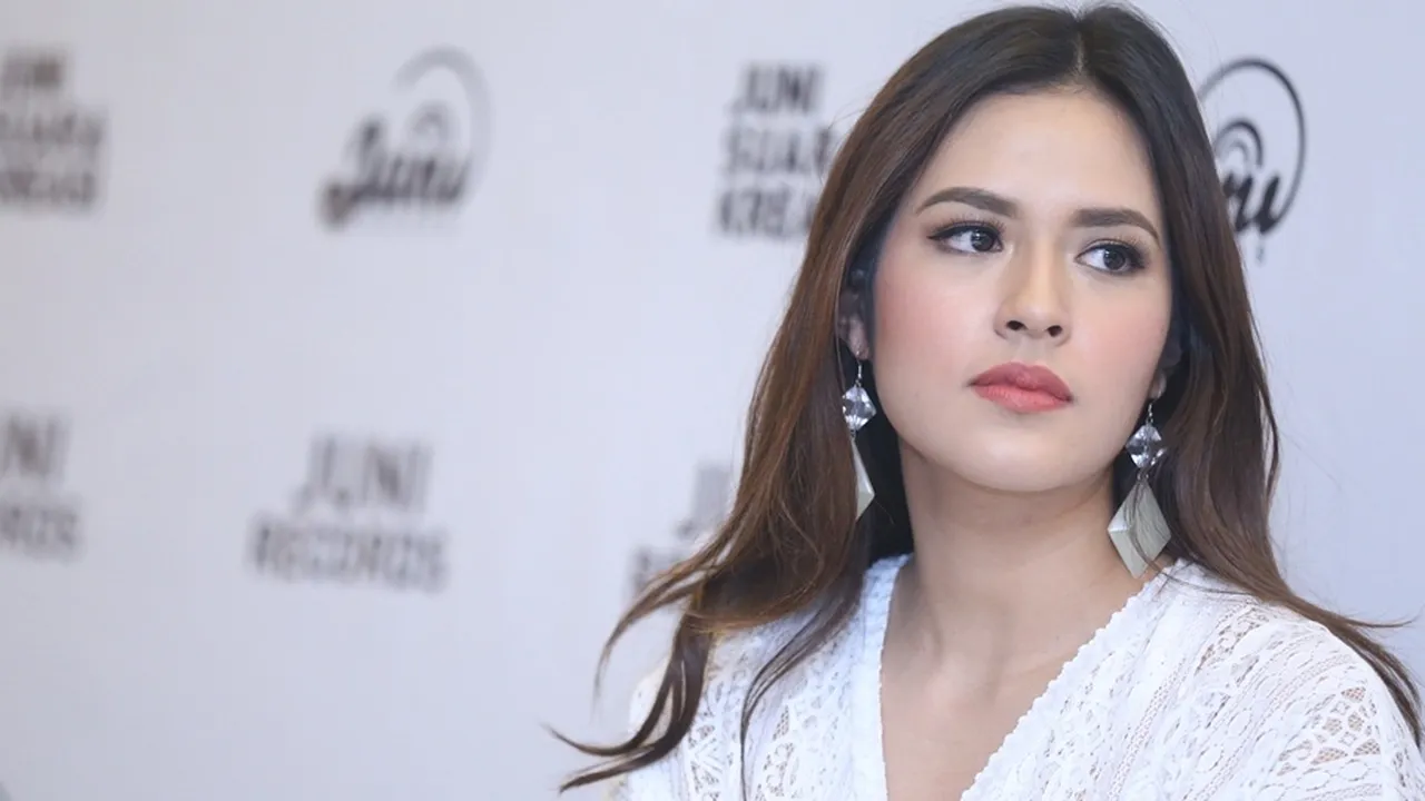 Kabulkan Mandat Netizen, Raisa 'Temui' Sutopo Sang Humas BNPB