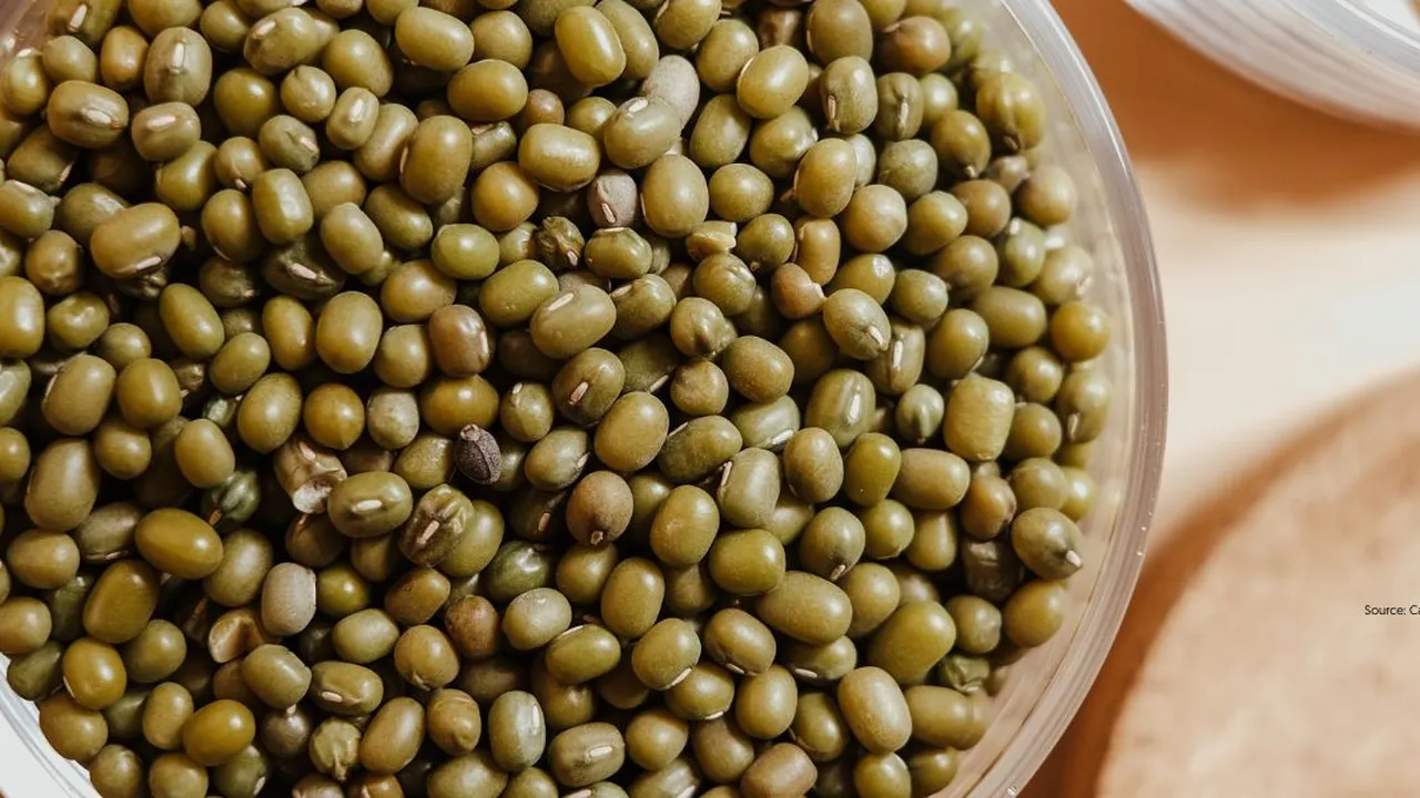 Kacang Hijau Matang Sempurna dengan Metode Singkat