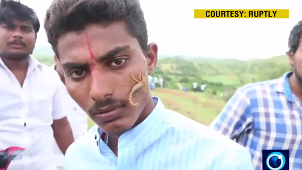 Kandakoor, Salah Satu Desa di India Yang Bermain Dengan Kalajengking Hidup