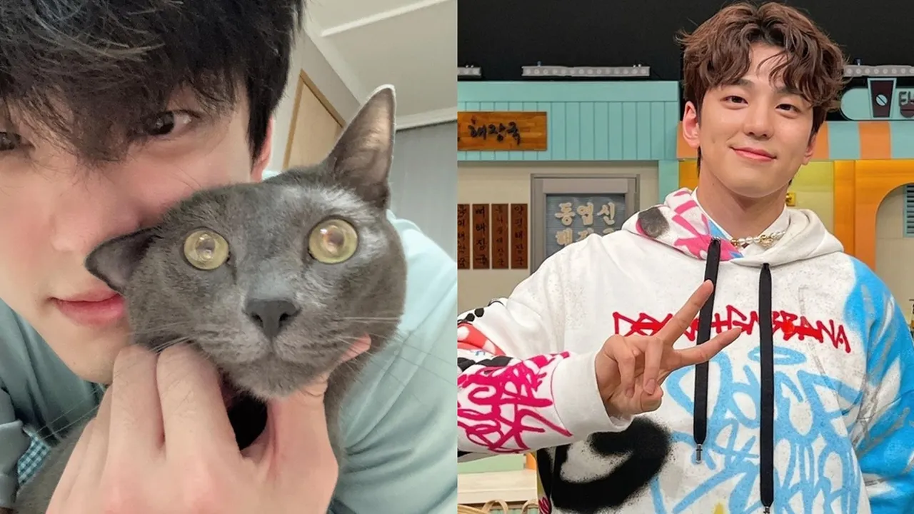 Karakter Kim Min Kyu Dilihat dari MBTI-nya, si Dimple Oppa yang Ternyata Cat Lovers