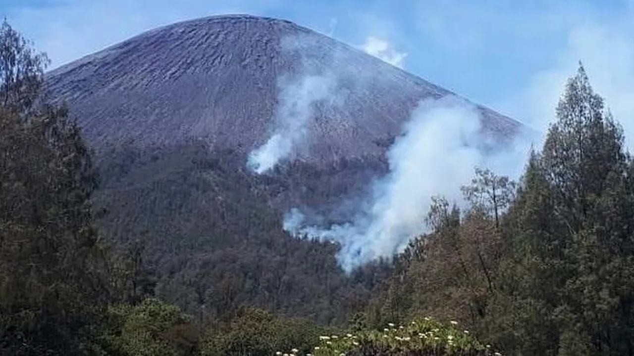 Kebakaran Hutan, Pendaki Dilarang ke Puncak Mahameru
