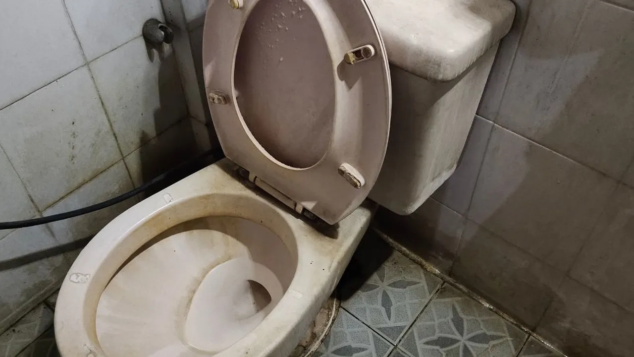 Kenali Penyebab Cacing di Lantai Kamar Mandi dan Temukan Solusi Ampuh untuk Mengatasinya!