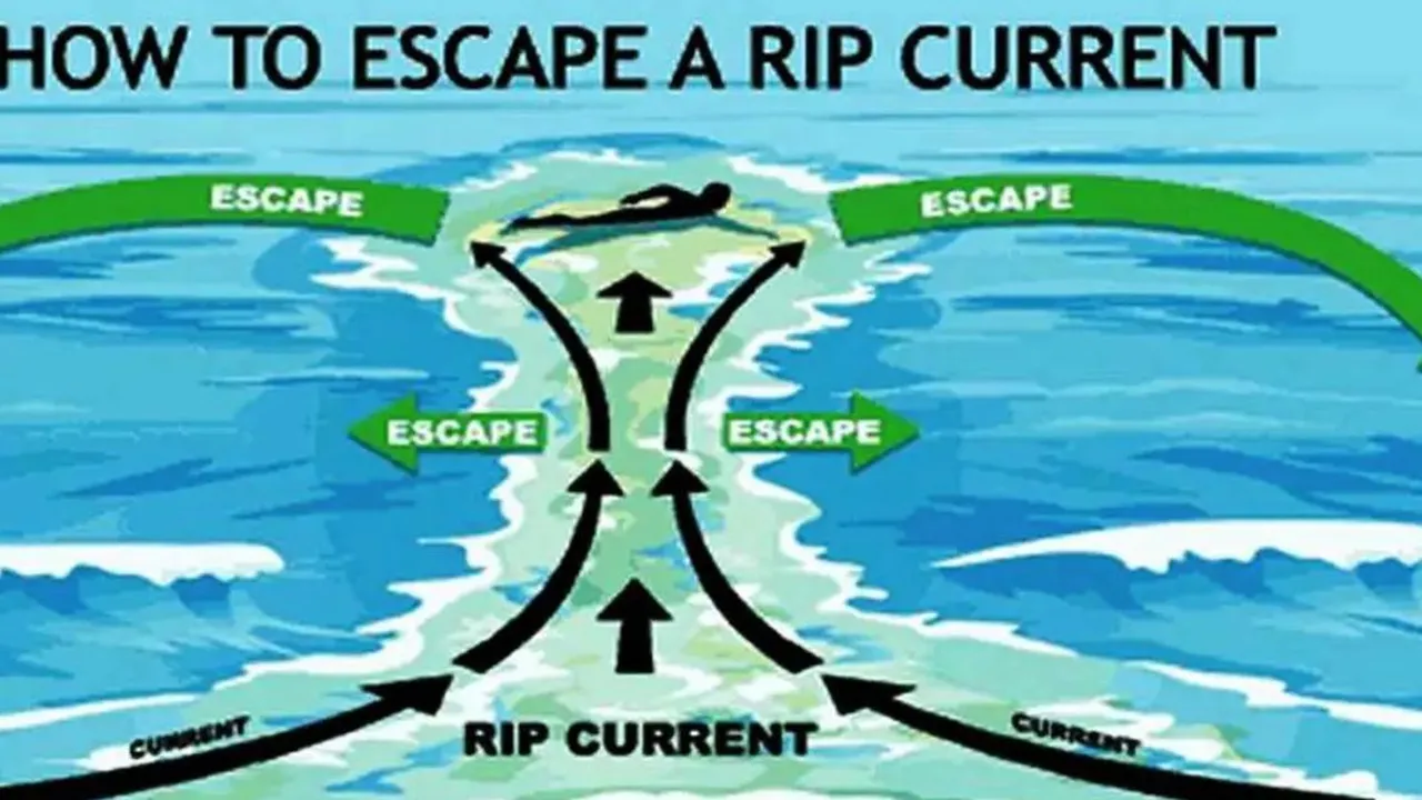Kenali Tanda Munculnya Rip Current dan Bahayanya Agar Tak Terseret Ombak di Pantai Selatan Yogyakarta