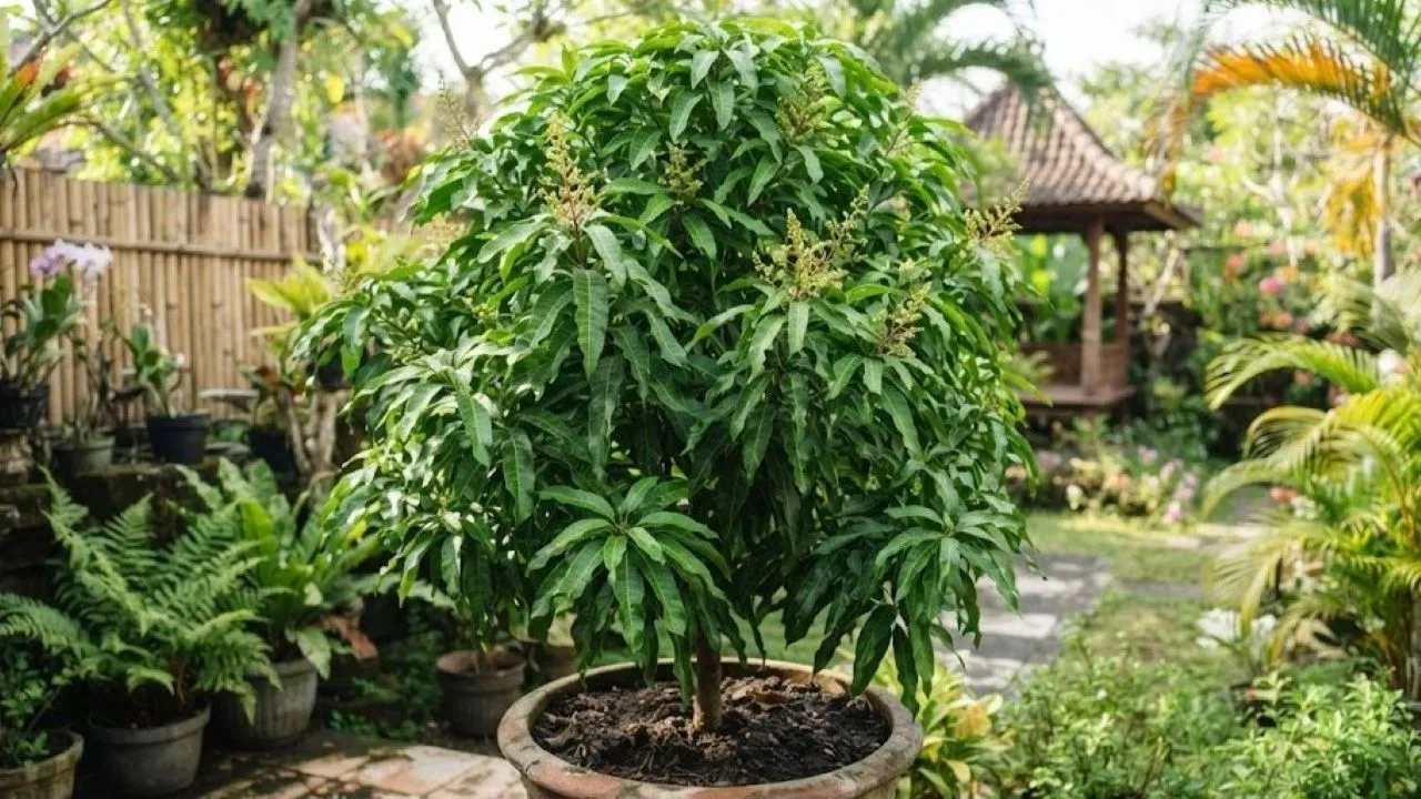 Kenapa Tanaman Buah yang Banyak Daun Tapi Sedikit Bunga, Ini Penyebab dan Cara Mengatasi