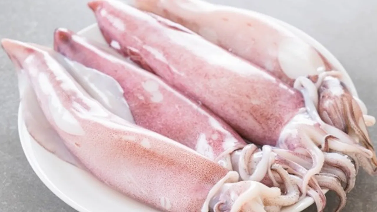 Ketahui 4 Tips Memasak Cumi, Tidak Alot dan Bau Amis Hilang