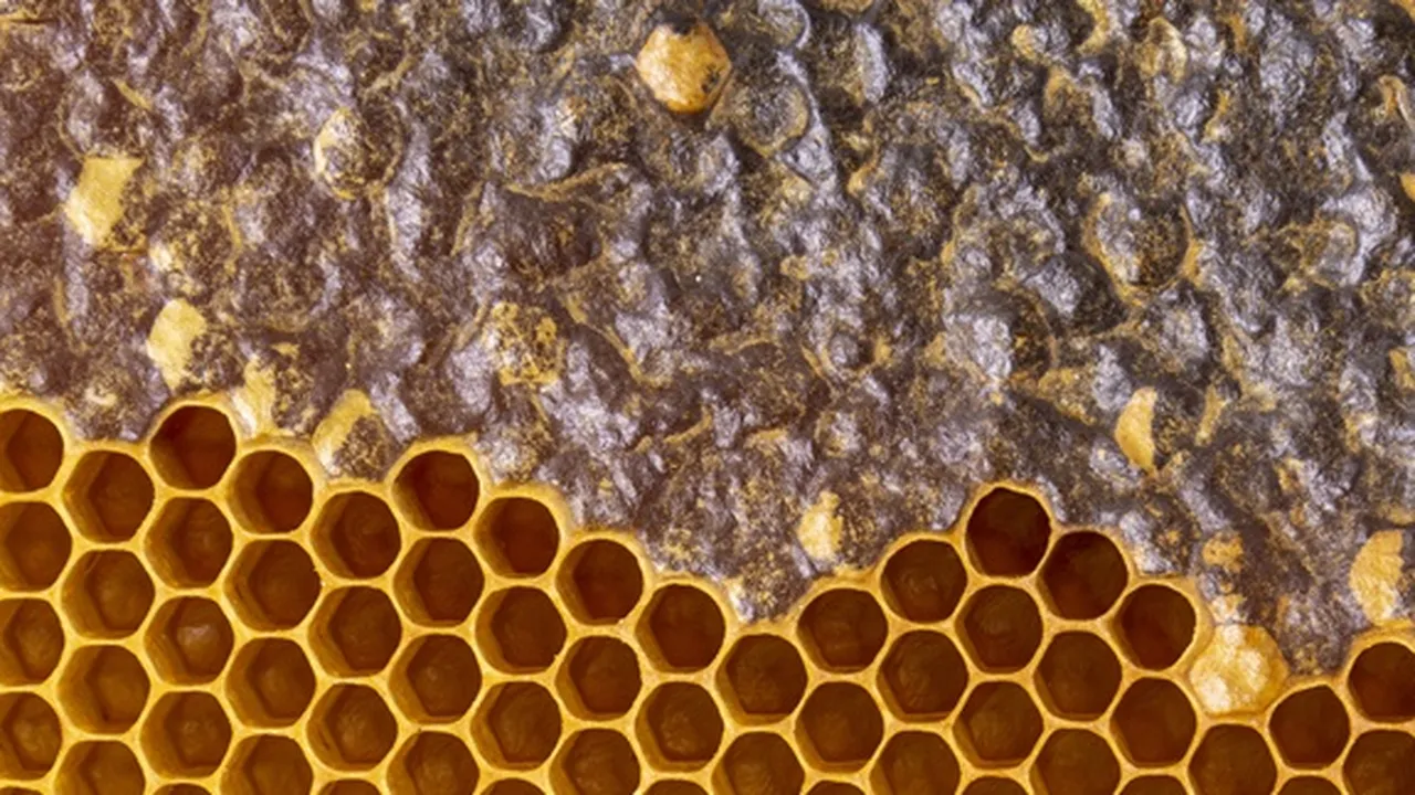 Ketahui Cara Menghilangkan Trypophobia, Beserta Gejala dan Penyebabnya