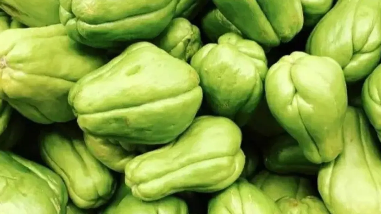Khasiat Sayur Labu Siam, Nutrisi Manfaat dan Resep Lezat yang Harus Anda Coba
