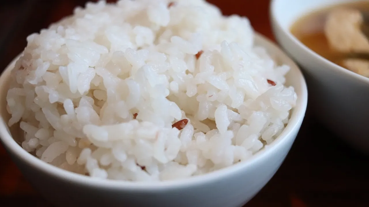 Kosakata Nasi dalam Bahasa Jepang, Lengkap dengan Contoh Kalimatnya