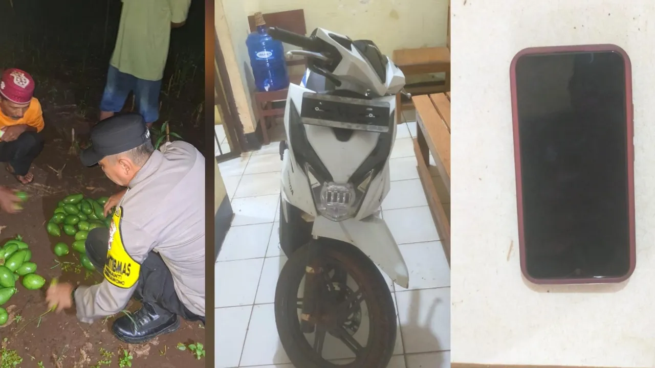 Kronologi Maling Curi 80 Kg Alpukat di Lampung, Kabur Panik Tinggalkan Motor dan HP!