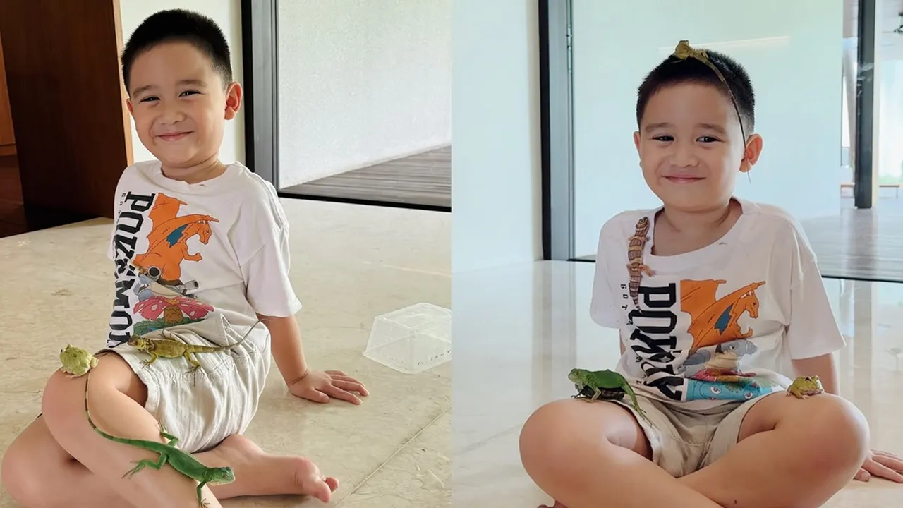 Kumpulan Hewan Peliharaan Athar Anak Citra Kirana dan Rezky Aditya, Ada Katak sampai Iguana Kumpulan Hewan Peliharaan Athar Anak Citra Kirana dan Rezky Aditya, Ada Katak sampai Iguana