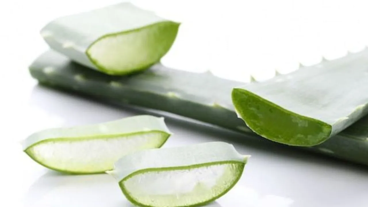 Langkah Mudah Membuat Masker Lidah Buaya untuk Kulit Bersinar dan Sehat!