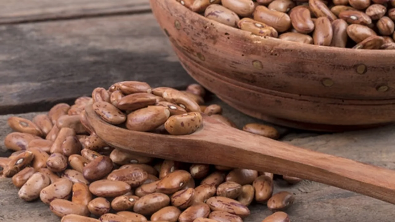 10 Manfaat Kacang Merah Bagi Kesehatan Tubuh, Cegah Kanker - Turunkan Berat Badan
