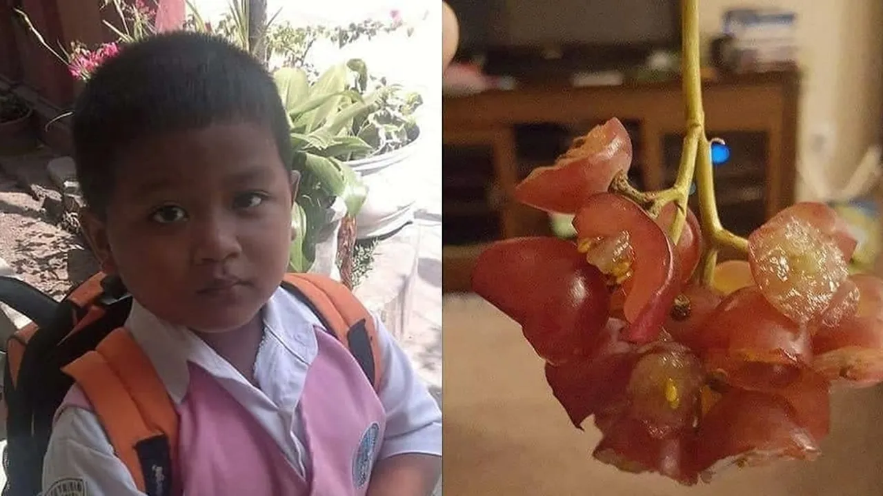 Makan Setengah Anggur, Tingkah Polos Bocah Ini Viral & Bikin Sang Kakak Bingung