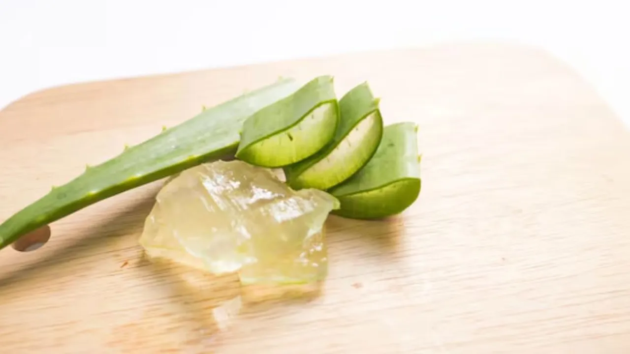 Manfaat Lidah Buaya sebagai Solusi Alami Meredakan Gejala Asam Urat