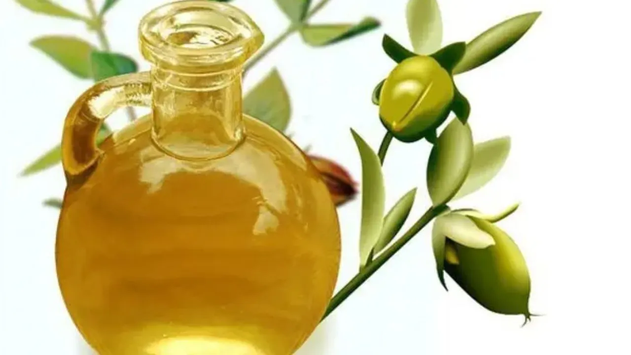 Manfaat Menakjubkan Minyak Zaitun untuk Kecantikan Kulit yang Sehat dan Glowing