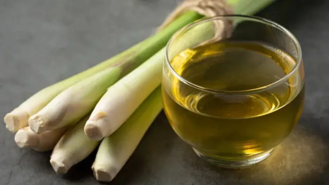 Manfaat Rebusan Serai untuk Kesehatan, Ini Resep Mudahnya