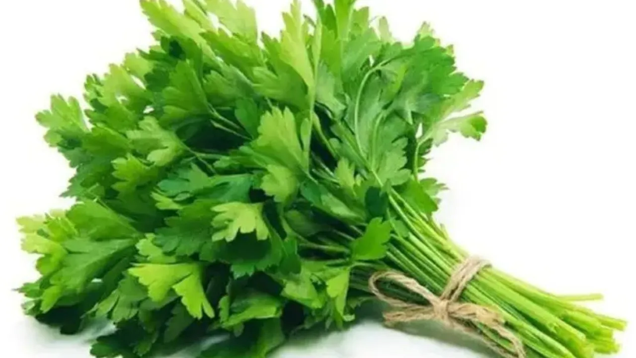 Manfaat Sehat Daun Seledri, Resep Praktis Turunkan Kolesterol dan Atasi Darah Tinggi