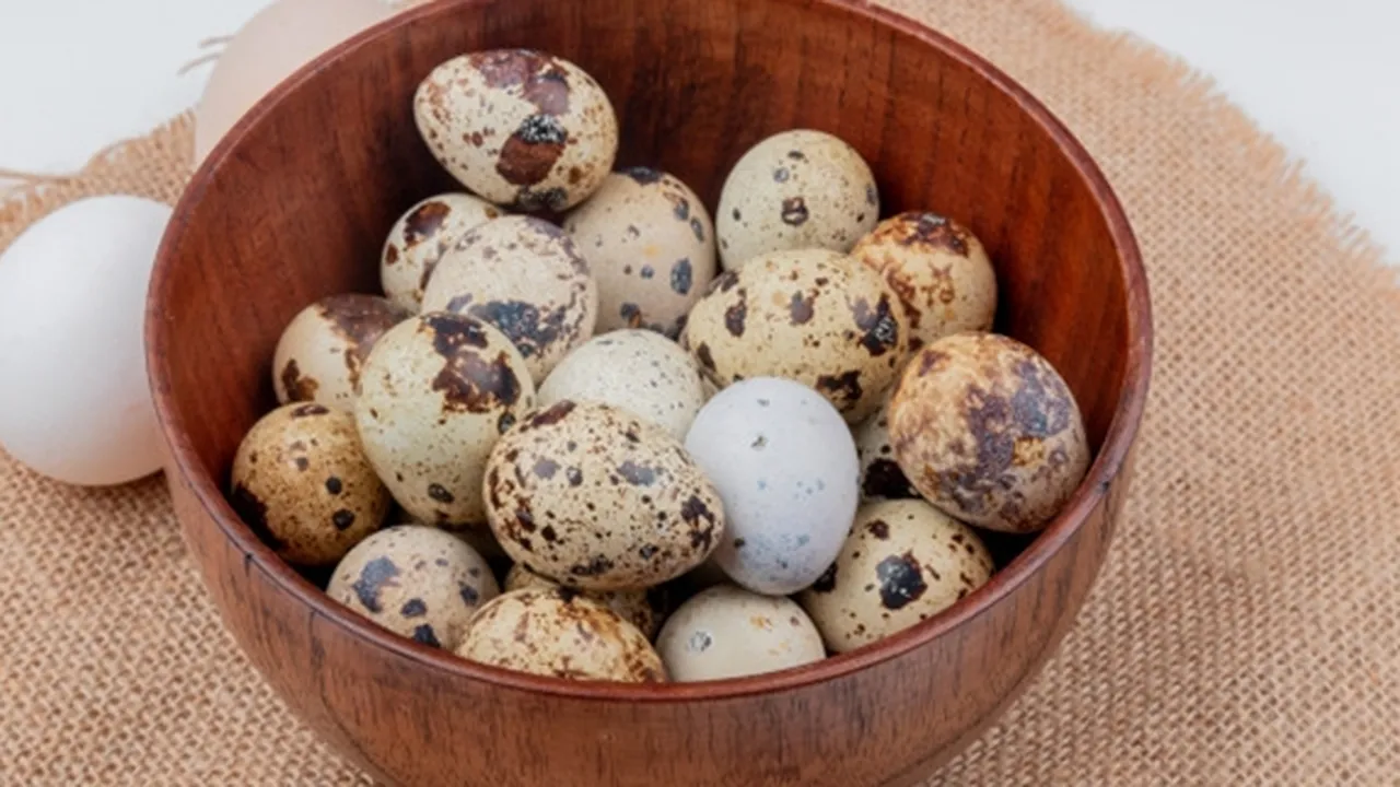 Meski Kecil, Nyatanya Ini 7 Manfaat Telur Puyuh yang Luar Biasa Bagi Kesehatan