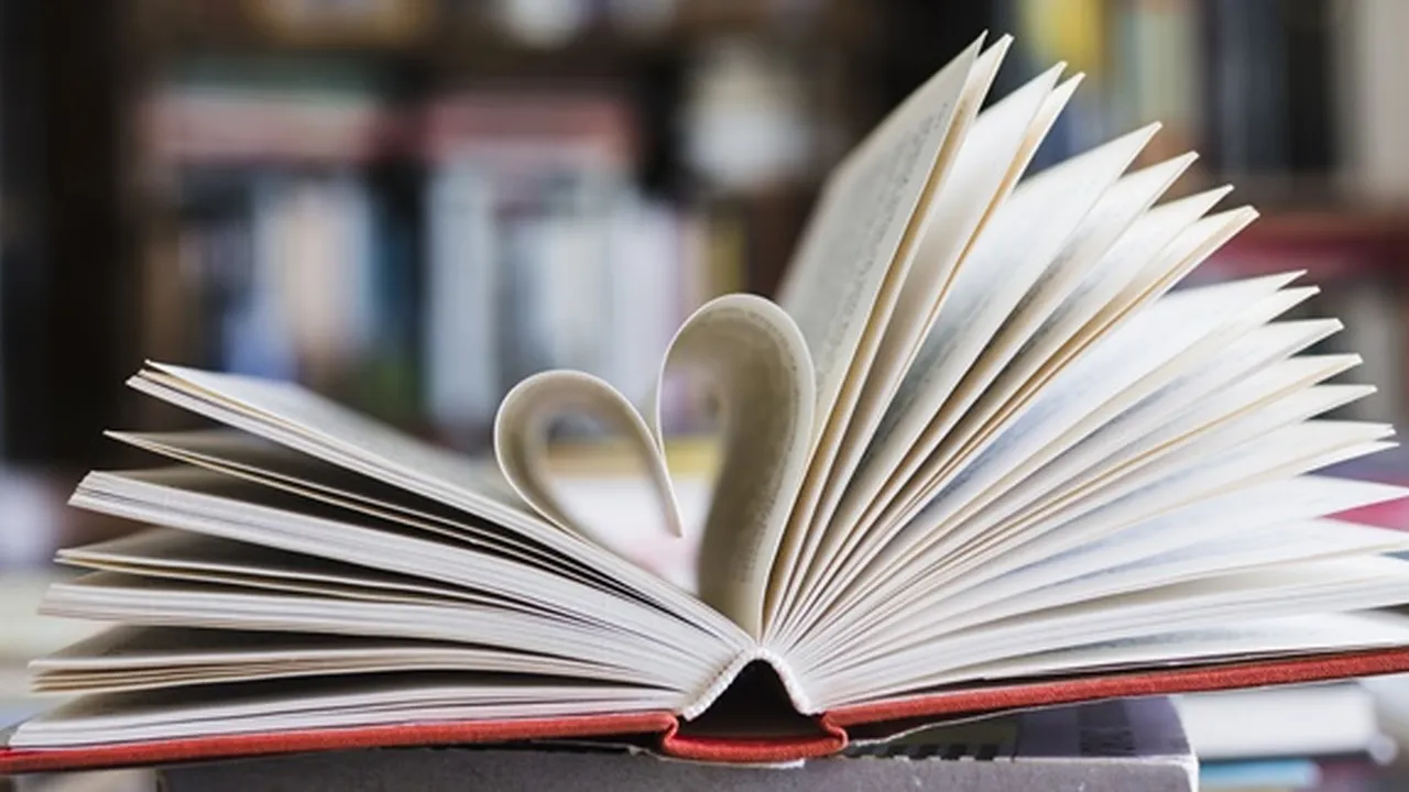 Mengenal Jenis-Jenis Novel, Lengkap Beserta Penjelasan dan Contohnya