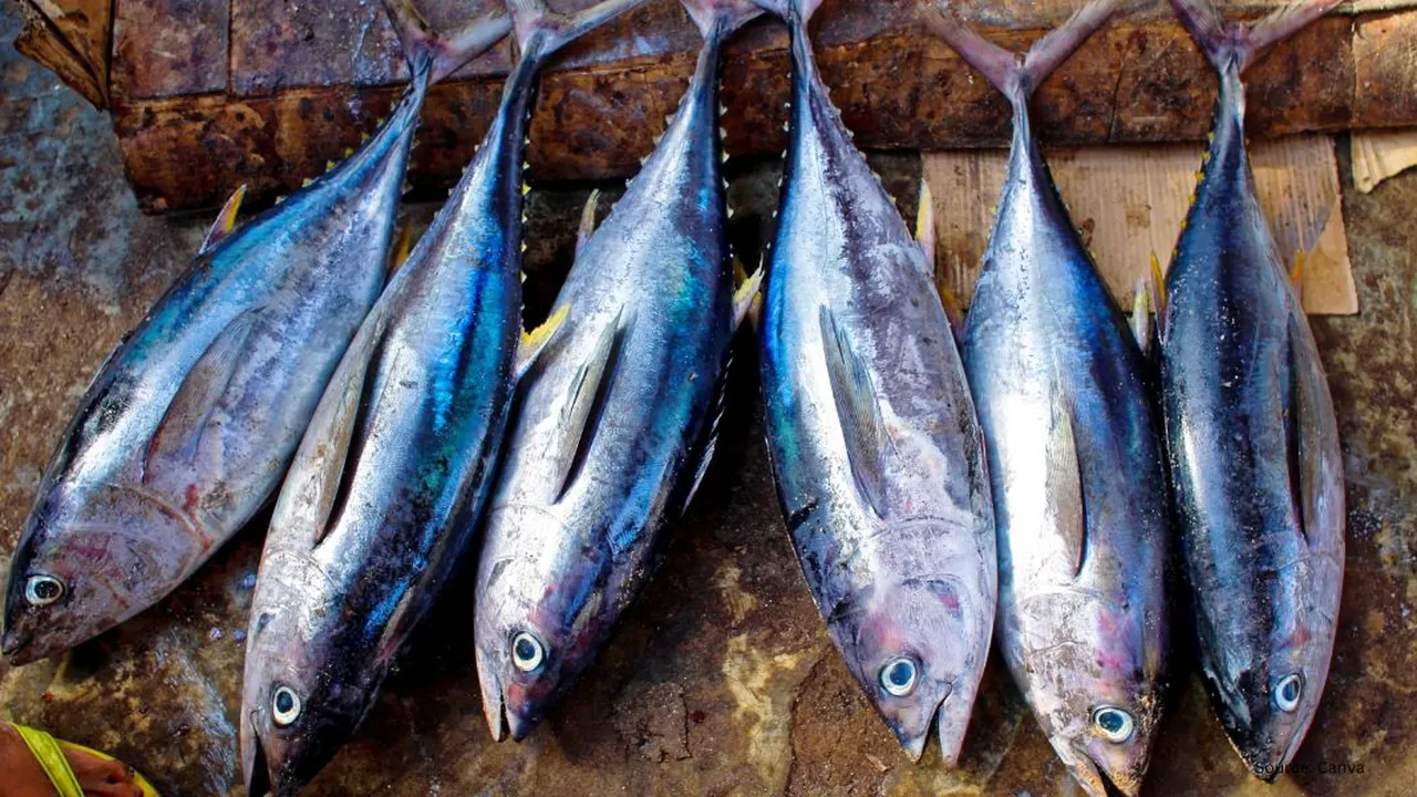 Menghapus Lendir Ikan dengan Tepung Terigu Tanpa Perlu Jeruk Nipis