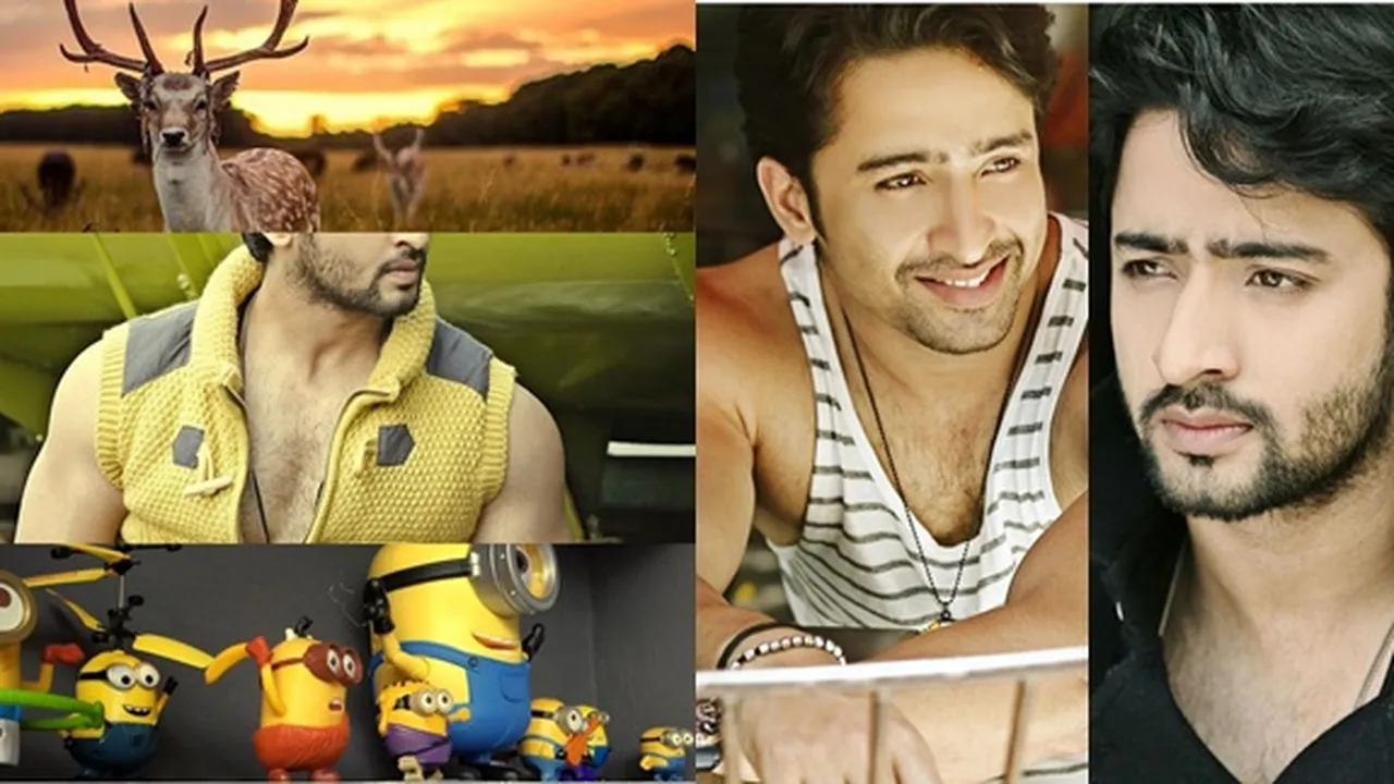 Merasa Galau Pada Hidup, Shaheer Sheikh Bicara Soal Makna Cinta