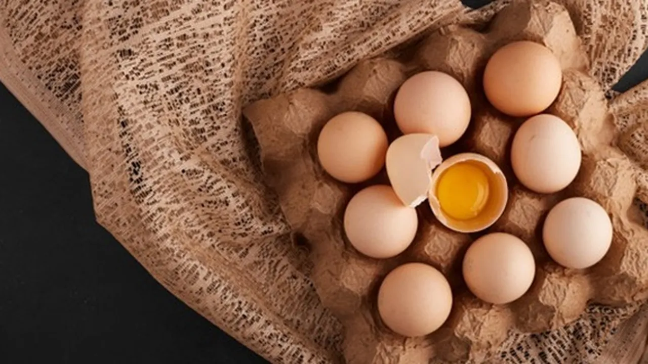 Meski Bikin Sehat, Ternyata Ada Lho 6 Risiko Kesehatan Jika Makan Telur Berlebihan