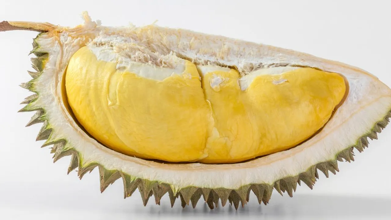 Mitos atau Fakta, Durian Mengandung Alkohol? Temukan Jawabannya di Sini!