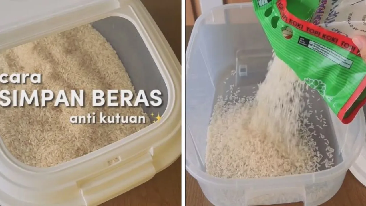 Modal 1 Bahan Dapur, Begini Cara Simpan Beras Anti Kutu dan Apek