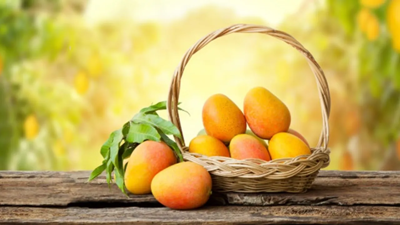 Mumpung Sedang Musimnya, Ini 5 Resep Olahan Mangga yang Bisa Kalian Coba