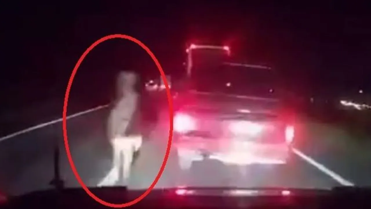 Muncul Sosok Misterius di Tengah Tol Cipali, Terekam Jelas!