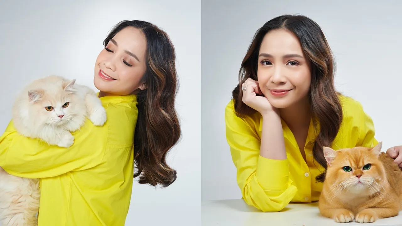 Nagita Slavina Punya Cara Tersendiri Manjakan Kucing-Kucingnya Nagita Slavina Punya Cara Tersendiri Manjakan Kucing-Kucingnya