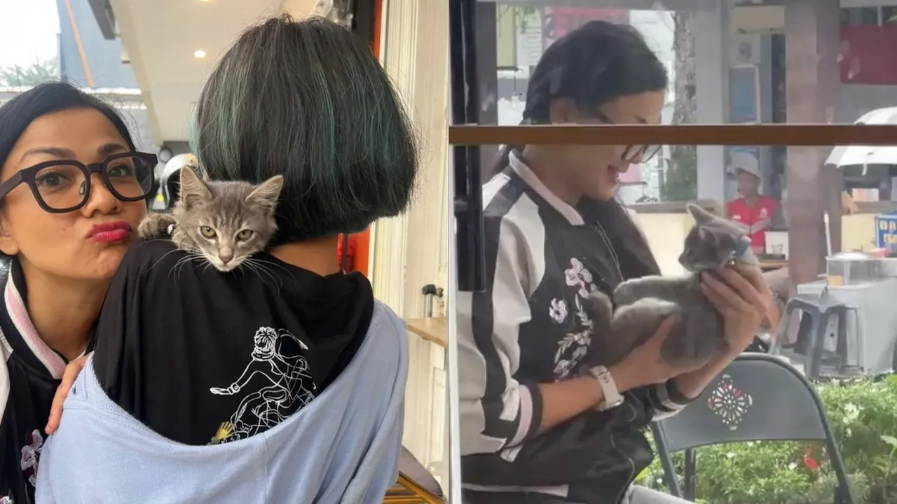 Nirina Zubir Adopsi Kucing Baru, Tak Kuasa Tahan Godaan Meski Sudah Pelihara Puluhan Ekor