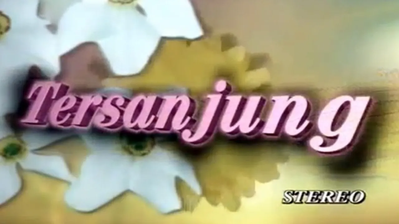 Nostalgia! Sinetron 'Tersanjung' Yang Legendaris Penuh Kenangan