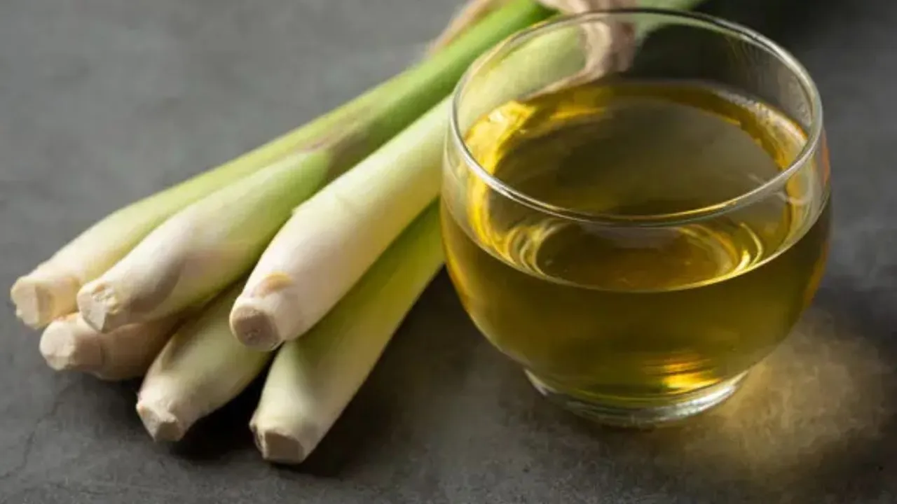 Nyeri Asam Urat? Coba Ramuan Sereh dan Daun Salam untuk Hasil yang Ampuh