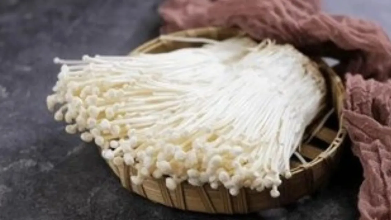 Olah Jamur Enoki Jadi Hidangan Lezat dengan Segudang Khasiat