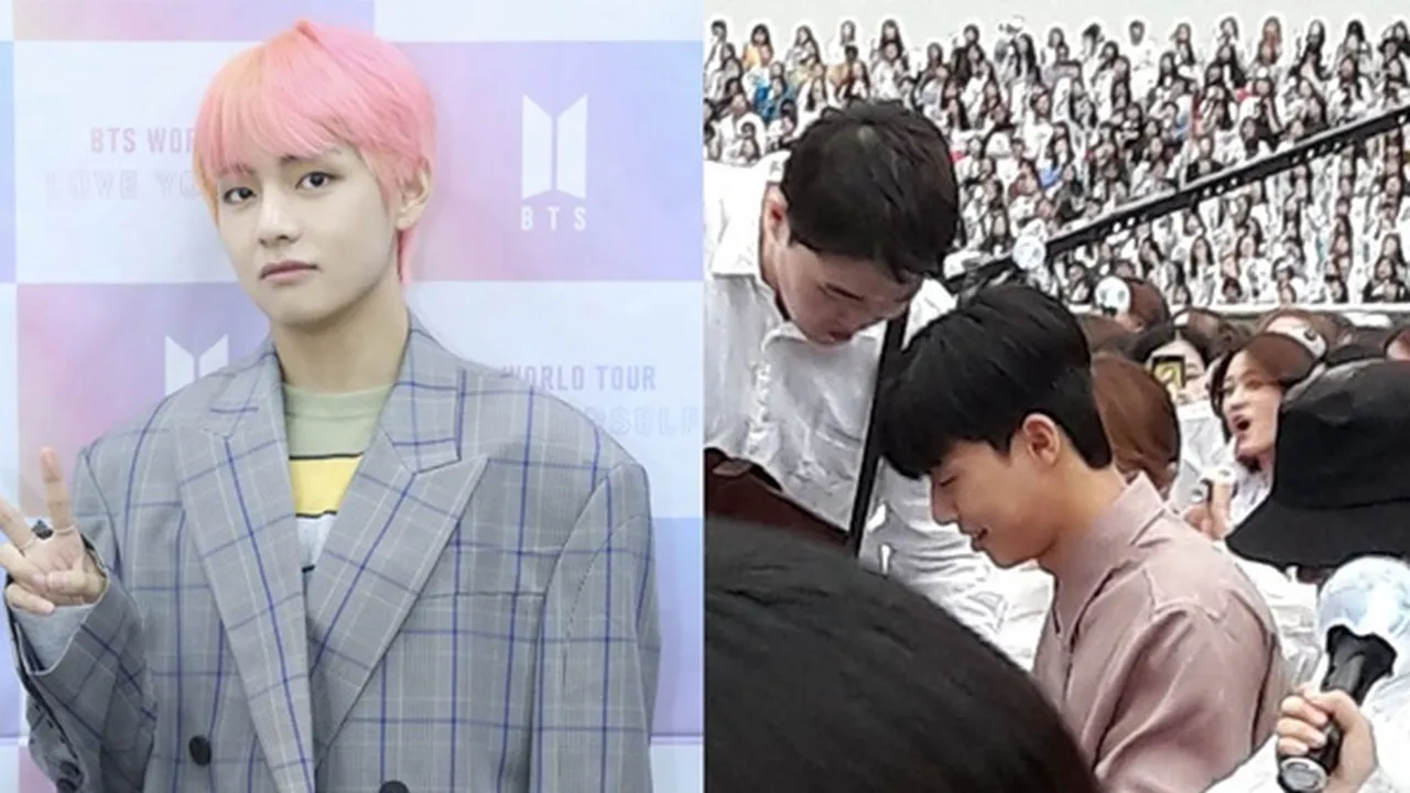 Park Seo Joon, Park Bo Gum Sampai Ha Ji Won Datang Dukung V di Konser BTS