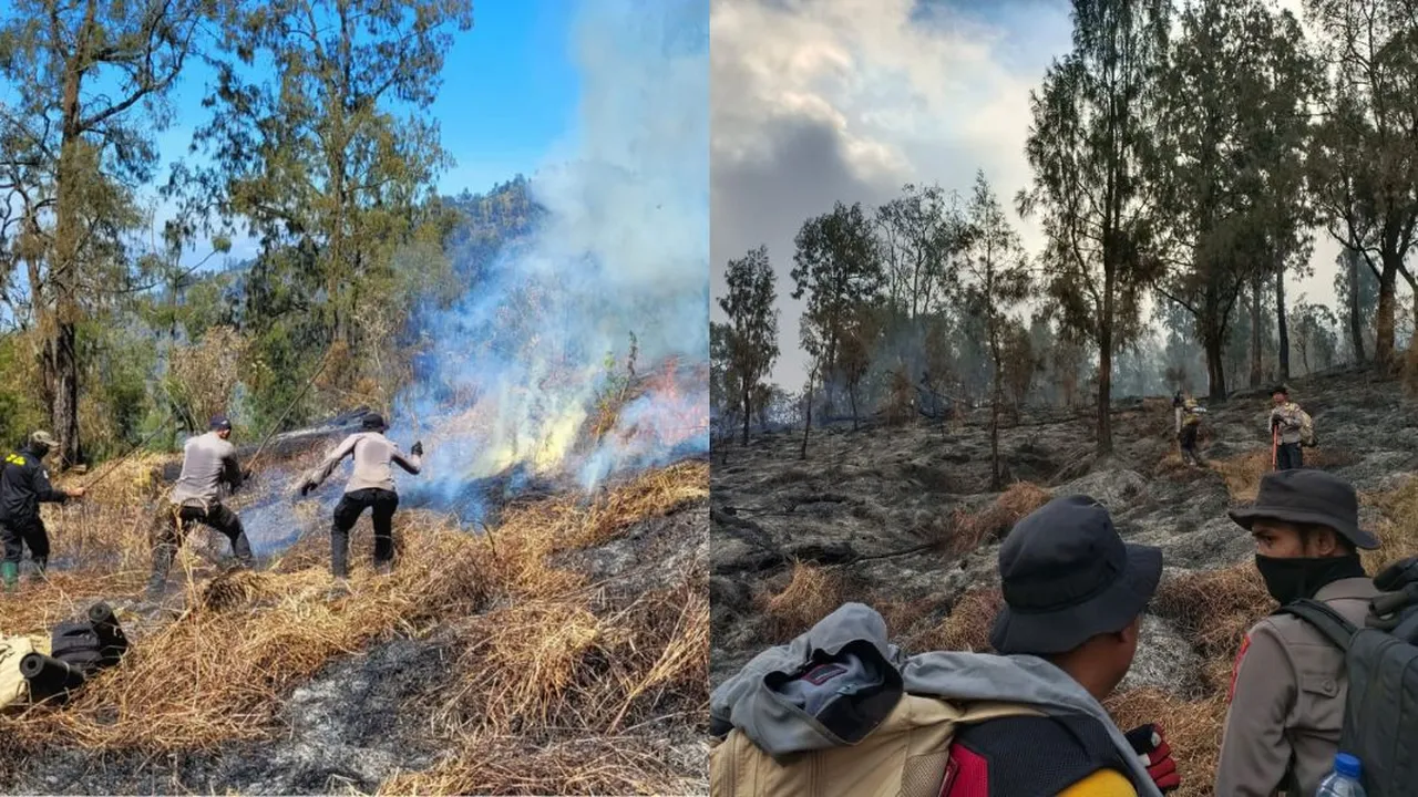Pemadaman Karhutla Gunung Arjuno Hadapi Medan Terjal, Upaya Terus Dikerahkan dengan Maksimal
