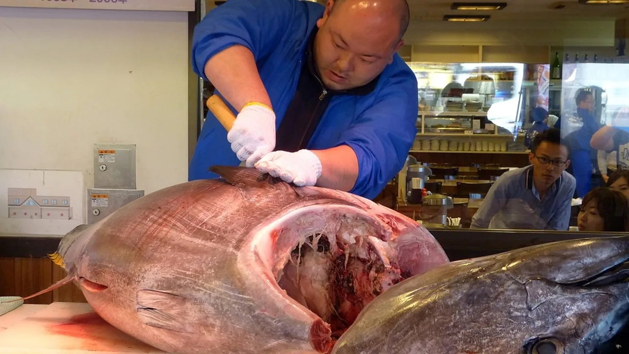 Penjelasan Ikan dalam Bahasa Jepang, Lengkap dengan Contoh Kalimat - Daftar Kosakatanya Penjelasan Ikan dalam Bahasa Jepang, Lengkap dengan Contoh Kalimat - Daftar Kosakatanya