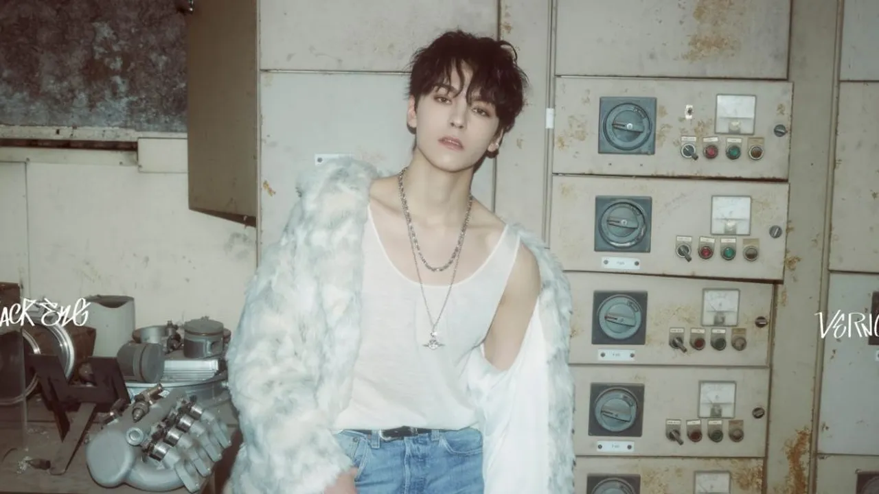 Pledis Umumkan Tanggal Wamil DK dan Vernon Seventeen, Bulannya Berurutan