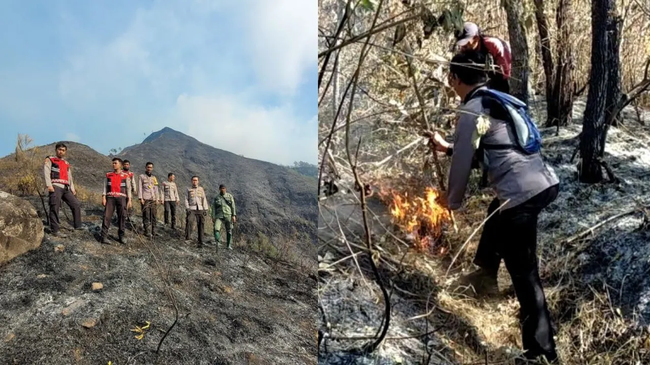 Polisi Selidiki Soal Pemicu Kebakaran Hutan di Gunung Arjuno, Diduga karena Aktivitas Perburuan Liar