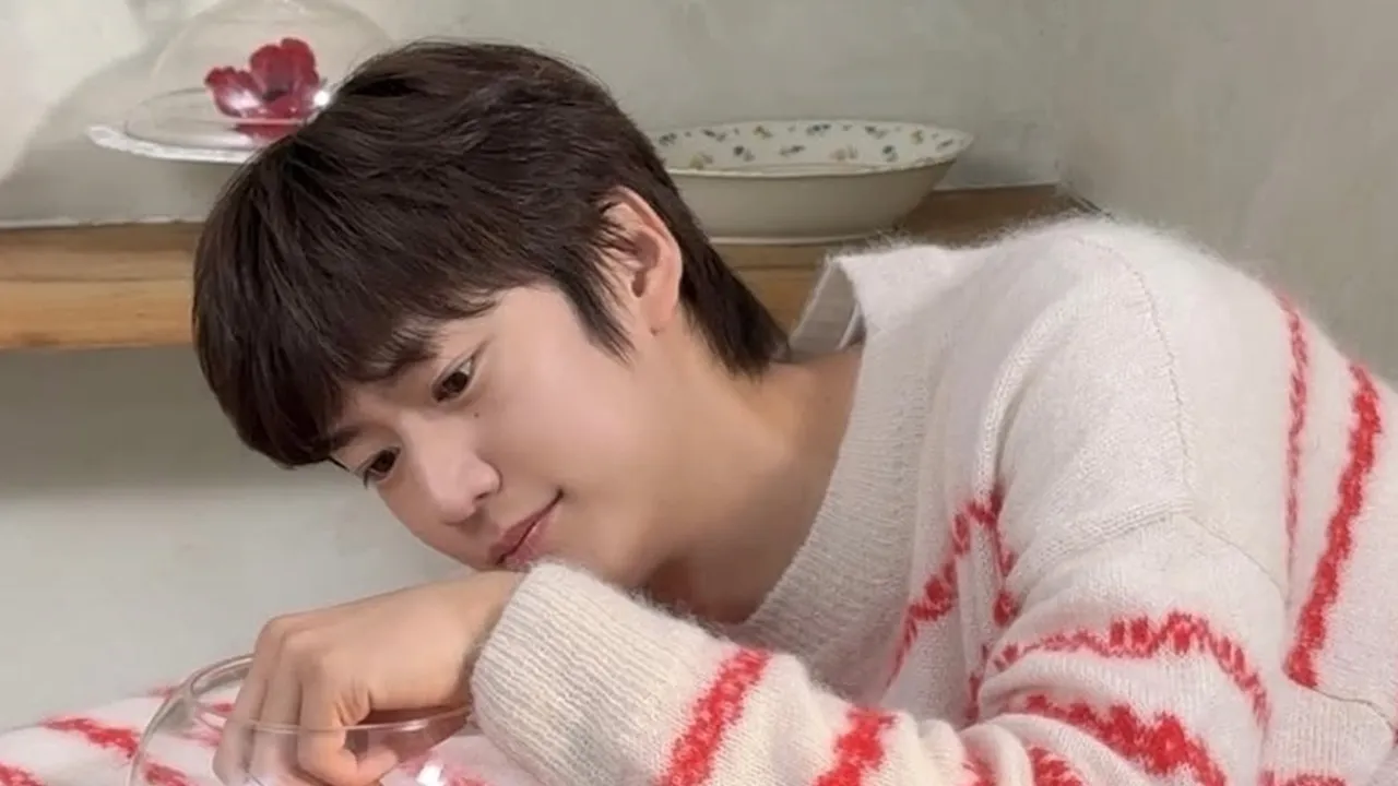Profil Na In Woo: Siap Comeback Drama Terbaru Bareng Shin Hye-sun